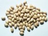 100 9x6mm Natural Oval Wood Beads 